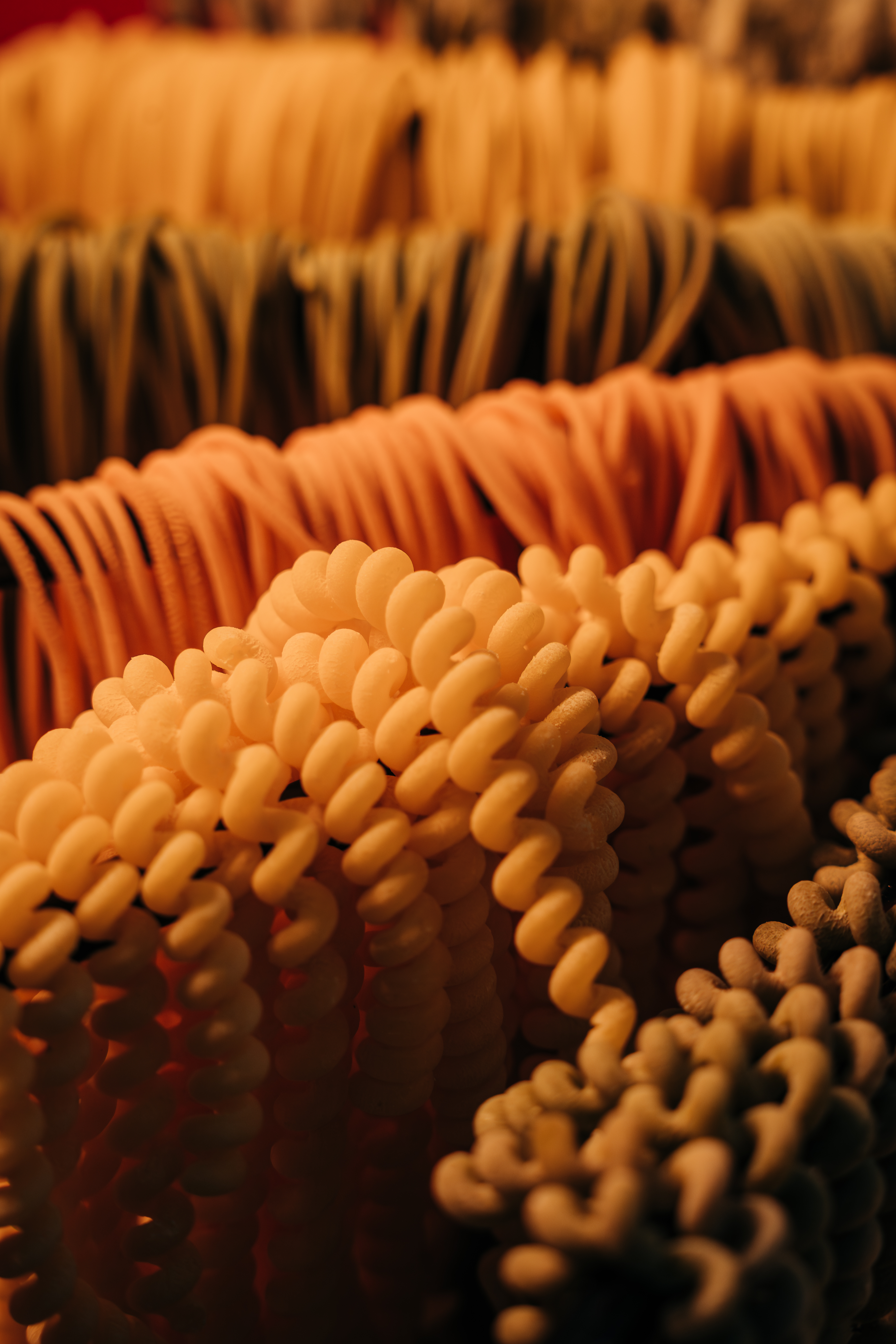Pastas frescas en preparación