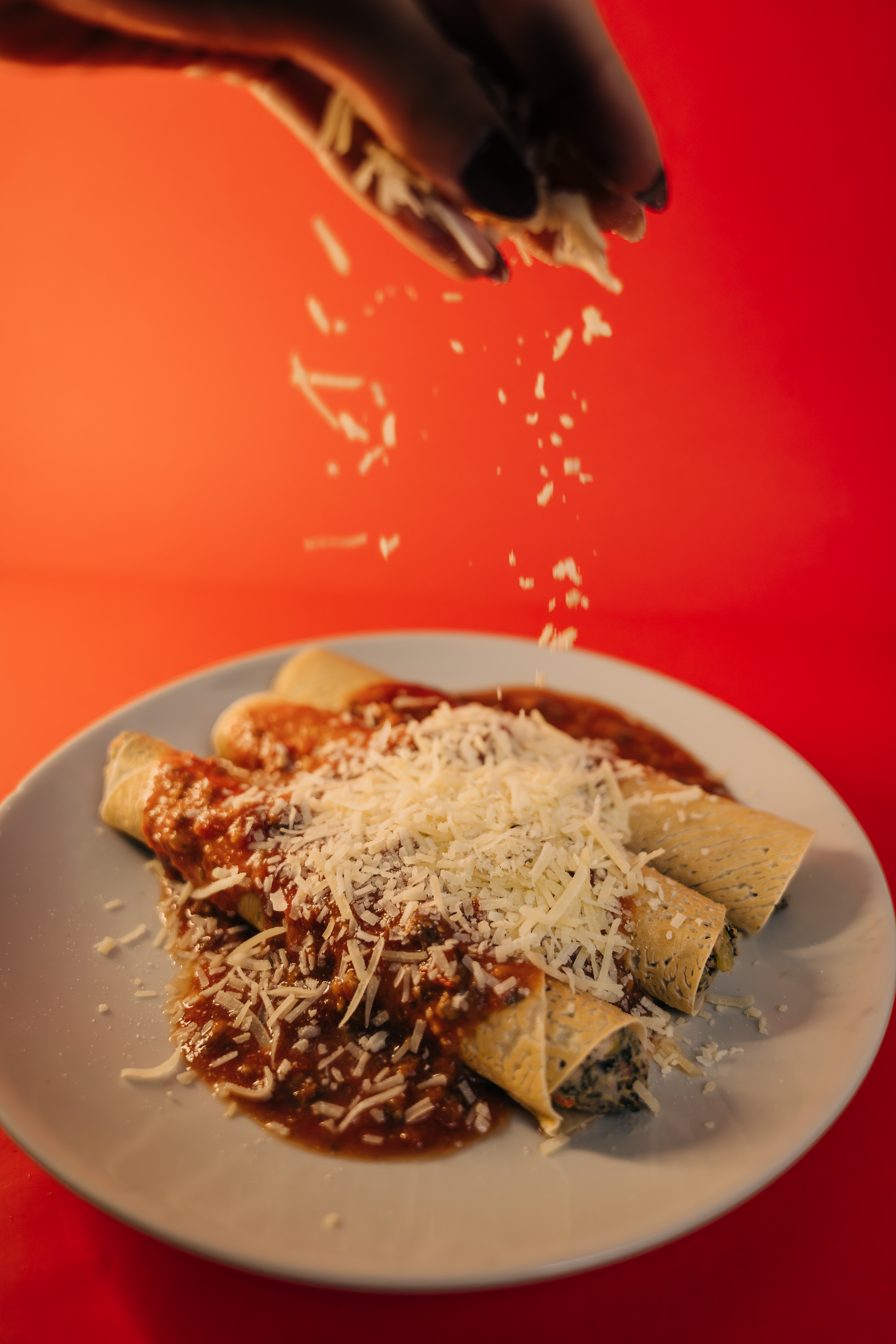 Selección de pastas rellenas